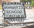現役店長の失敗から学ぶ 開業前のアドバイスをします ネットショップ初心者、始めたい方向けの戦略会議を致します。 イメージ5