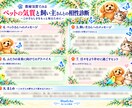 ペットの気質と飼い主さんとの相性を読み解きます 数秘と気質から、愛するペットとの関係をやさしく読み解きます イメージ4