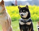 今吐き出したい事、お聞きします 1分からでも大丈夫です♪※最大1時間 イメージ1