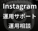 初心者歓迎！インスタ運用の改善点を見極めます フォロワー増加、集客、今すぐできる対策をプロが伝授します イメージ1
