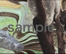 動物の待ち受け作ります 〜大好きな動物がいつでもあなたの手元に〜 イメージ6