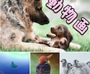イラスト描きます 人物画、風景画、動物画等描きます イメージ3