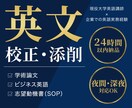 海外官公庁経験のネイティブがビジネス英語校正します 米国名門大＆官公庁監査経験のネイティブがビジネス英語校正 イメージ1