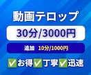 格安❗️動画にシンプルなテロップを挿入します ✅お得✅丁寧✅迅速　期待以上のサービスを提供します イメージ1