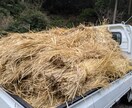 熊本の田舎ならではの写真を撮ります 田舎の写真が欲しい！や旅行で撮り忘れた！時に！ イメージ3