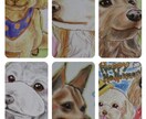 あなたの愛犬・愛猫を可愛い雰囲気で描かせて頂きます ☆お誕生日・イベント・プレゼントに♪ イメージ2