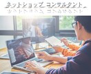 ネットショップ売上UPを目指すコンサルを行います まだスタートしたばかりの店舗や売り上げ0円でもご指導します。 イメージ1