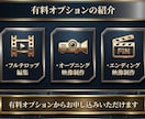 YouTube動画の編集を丸投げでお受けいたします 【丸投げ依頼OK】YouTube動画編集×サムネ無料制作!! イメージ8