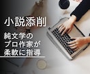 新人賞最終候補のプロ作家が小説の添削・校正をします 柔軟に小説を添削【短編・中編・長編に対応】【公募にも対応】 イメージ1