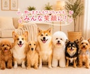 愛犬への愚痴をこぼしたい。優しく寄り添います 可愛いからこそ、ストレスが溜まる。占い有無選べます。 イメージ7