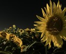 田舎の写真を一眼レフカメラで撮影します 都会の方や絵を描いていてモデル風景をお探しの方におすすめです イメージ2