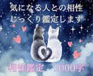 論破系×共感の新感覚占い。現実がクリアになります 感情よりも現実を見たい方に、冷静でやさしい視点を届けます。 イメージ2