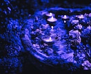 占いで変わらなかった原因を精霊霊視で視通します 原因がわかる・繰り返しが終わる・人生の流れが動き出す イメージ5
