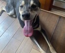 あなたのお話しなんでも聞きます ちょっとした愚痴からしっかり恋愛話まで是非お話しましょう！ イメージ1