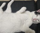 恋愛相談のります あなたのお悩み相談してみませんか？ イメージ1