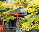 桜、紅葉など京都の動画、写真、レポート代行します 京都の気になるお店、場所確認代行　まずはなんでもご相談 イメージ1