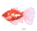 程よくリアルで暖かみのあるイラスト描きます 商用案件から個人観賞用まで 生き物を中心に描きます イメージ5