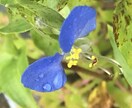辛いお気持ちを軽く、楽にします 心に寄り添い、あなたが一歩踏み出せるカウンセリング イメージ9