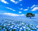 誰かと繋がりたいとき、待ってます 話したいこと、心に溜め込んでいることないですか？ イメージ2