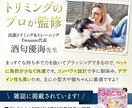 犬のプロがペットビジネスの成功をサポートします 監修、イメージ写真の撮影、PR、新規サービスの相談など イメージ1