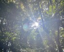 妊活で悩んでいる方、一人で悩まずお話し聞きます 〜妊活10年の私だからこそ分かる事があると思います〜 イメージ5