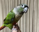 得意分野(生物・料理等)多いです！全力で書きます 特に生き物や自然環境のこと、料理の事など、お任せを イメージ6