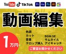 動画編集で魅力を引き出します 動画カットからサムネまでお任せ! イメージ1