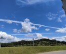 変わった写真提供します 疲れた心を癒やしましょう。おいらも癒やされたい イメージ1