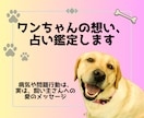 ペット占いで愛犬のこと・気持ちが解かり			ます 愛犬があなたの家族になった理由、運命のストーリーが分る✨ イメージ1