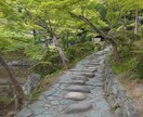 文章校正承ります 誤字脱字チェック、文章校正承ります イメージ1