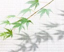 笑顔で優しいママになりたい♡をお手伝いします 【共感＆包容力】夫や子供への愚痴・イライラなんでも聴きます イメージ3