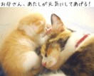 子育てについてのお悩みに、今できることを提案します 臨床経験10年超の心理師が、あなたのお気持ちに寄り添います イメージ10