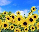 お試し❤️誰にも言えない悩み…そっとお聴きします モヤモヤ☘️ストレス☘️圧倒的共感力☘️電話相談☘️癒し イメージ3