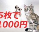 こうだったらよかったのに…　写真のお悩み解決します 写真の切り抜き、修正、加工、ご相談ください！ イメージ1