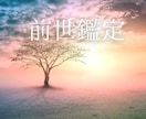 前世でのあなたの姿、今世への影響を視ます これで良いのかな？と悩むあなたの気持ちをそっと後押しします イメージ1