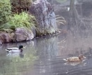 夏を愛する人は心強き人/安心と安眠を届けます 恋愛/仕事/人間関係/愚痴/雑談！人生のベテランに任せてね イメージ8