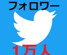 Twitter運用代行。フォロワーを1万人にします あなたのTwitterアカウントを1万人が応援します イメージ1