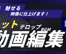 視聴者を飽きさせない動画編集をします 視聴者が夢中で見てしまう動画を作ります！！ イメージ1