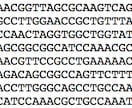 DNA・アミノ酸配列から特定の配列をお探しします かゆい所に手が届く便利なサービスです！ イメージ1