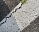 双極性障害・摂食障害などのあなたに心に寄り添います 波があっても大丈夫。あなたのペースに合わせて、寄り添います。 イメージ3