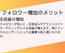 インスタグラム日本人フォロワー100人増やします 100人からフォロワー増加のご支援をします⭐️ イメージ10