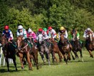 毎週競馬の穴馬など有力な情報を流します レースごとに来る確率が高い馬を提供させてもらいます イメージ2