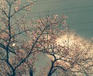 sendaimasamune様専用ページとなります sendaimasamune様とのお取引ページです。 イメージ1