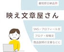 SNS・ブログ・商品説明の文章を作成します 伝えたい内容をもとに、使いやすい文章に整えて納品いたします！ イメージ1