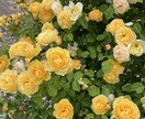 話し相手になります 愚痴、悩み、誰にも言えない事、暇つぶし、お話聞かせてください イメージ1