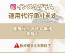 インスタ運用代行お試し価格でサポートします 低予算で運用、企画、投稿作成承ります！ イメージ1