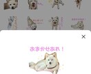 LINEスタンプ作成します 愛犬や愛猫、お子さん等、お写真を使用したLINEスタンプ⭐︎ イメージ1