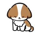 かわいいキャラや人物などのイラストを作成します 可愛いや動物や少年少女などを得意としています！ イメージ4