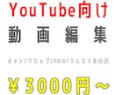 YouTube向けの動画編集をします あなたのイメージやジャンルに合わせて編集します！ イメージ1