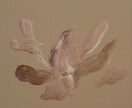 イラスト描きます 癒しと世界観のあるイラスト制作 イメージ2